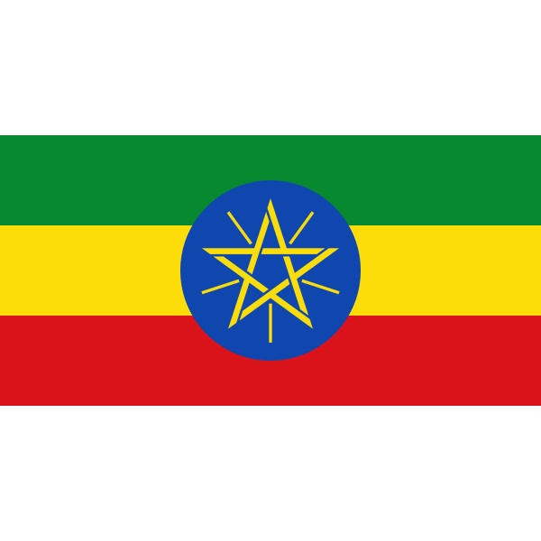 Ethiopia with Star medium hand flag