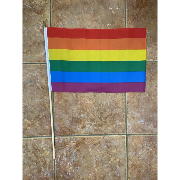 Rainbow (Gay Pride Flag) large hand flag