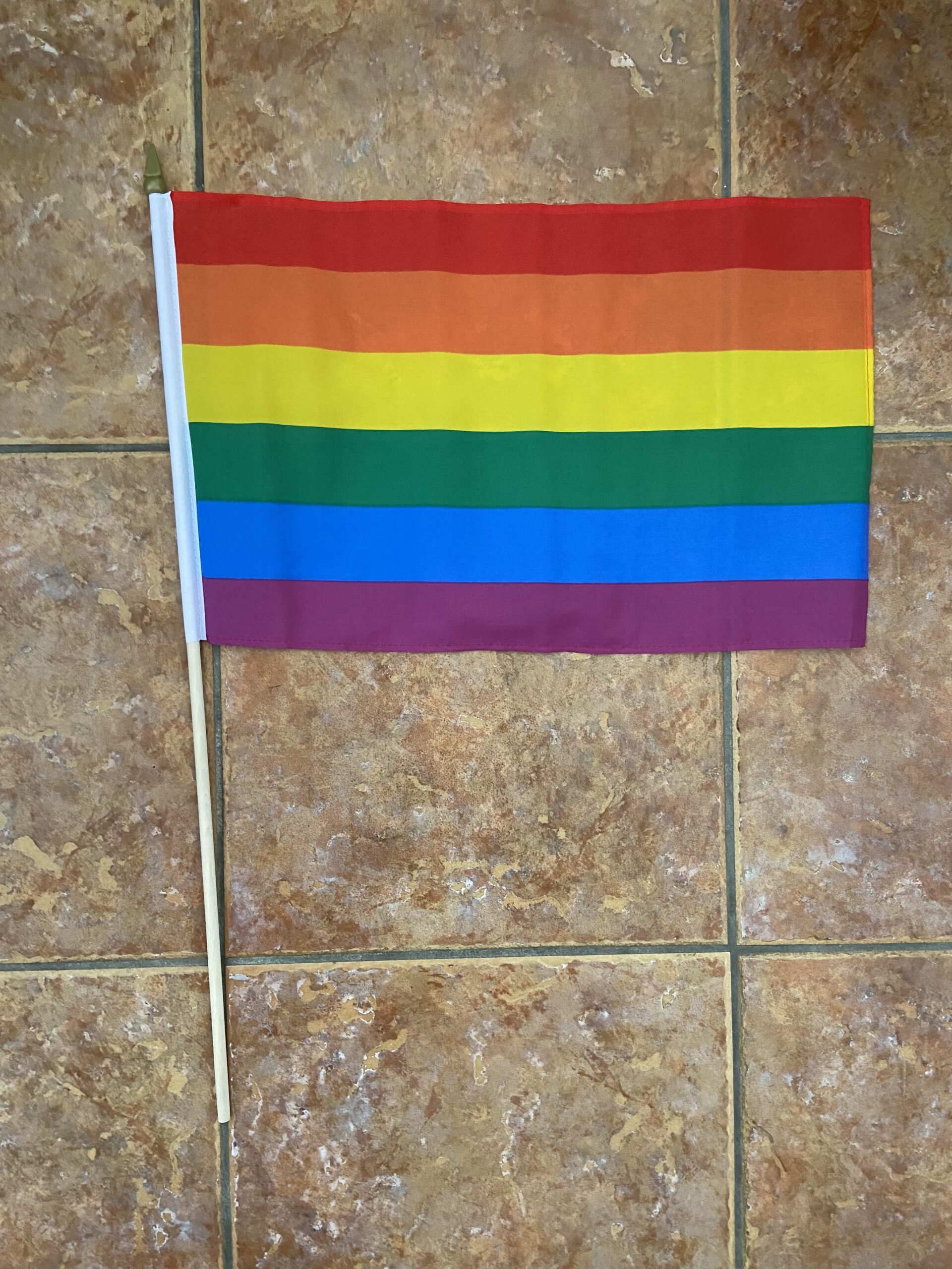 Mini Rainbow Flag LGBT Hand Flags - 12.7x20.3 Cm, Double-Sided Polyester With Stick