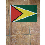 Guyana large hand flag