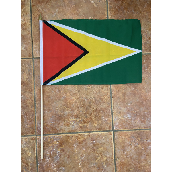 Guyana large hand flag