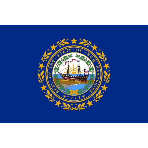 New Hampshire Hand Flag