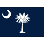 South Carolina 5'x3'