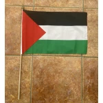 Palestine large hand flag