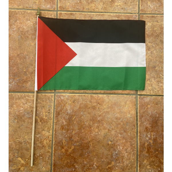 Palestine large hand flag
