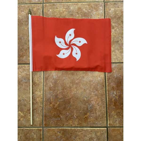 Hong Kong large Hand Flag