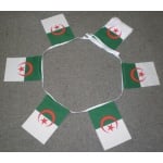 6m 20 flag Algeria bunting