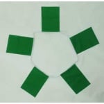 6m 20 flag Plain Green bunting