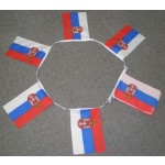 6m 20 flag Serbia bunting