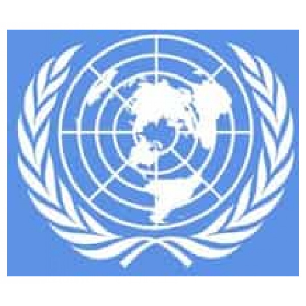 united-nations-4de50da48864b-1-600x600 United Nations (UN) 3'x2' - Image 1