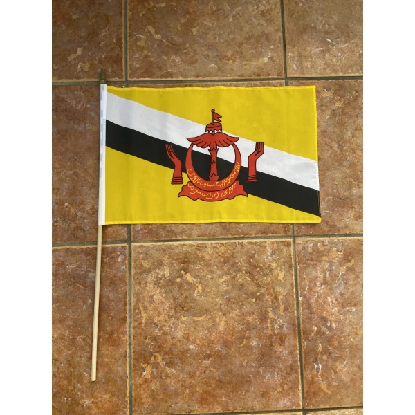 Brunei large hand flag