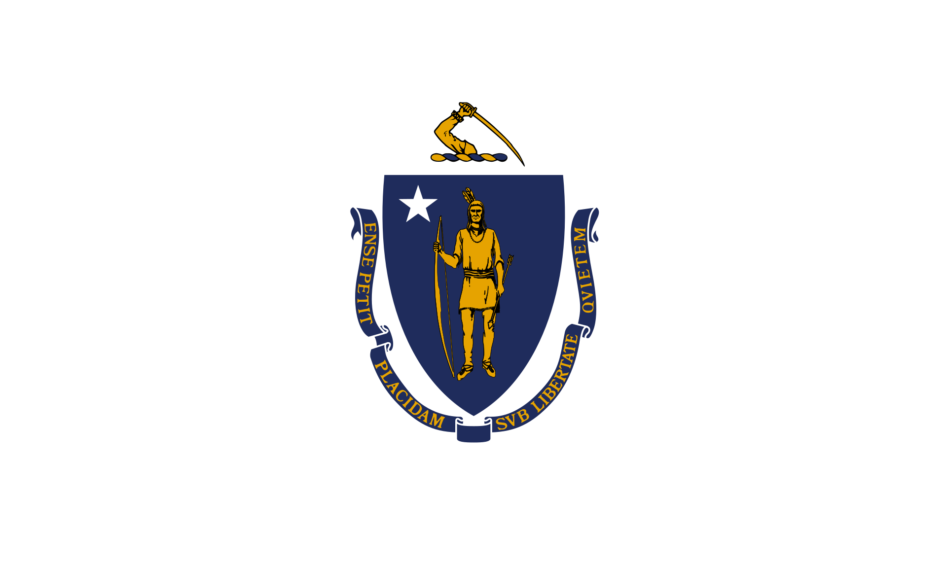 Massachusetts Massachusetts hand flag - Image 1