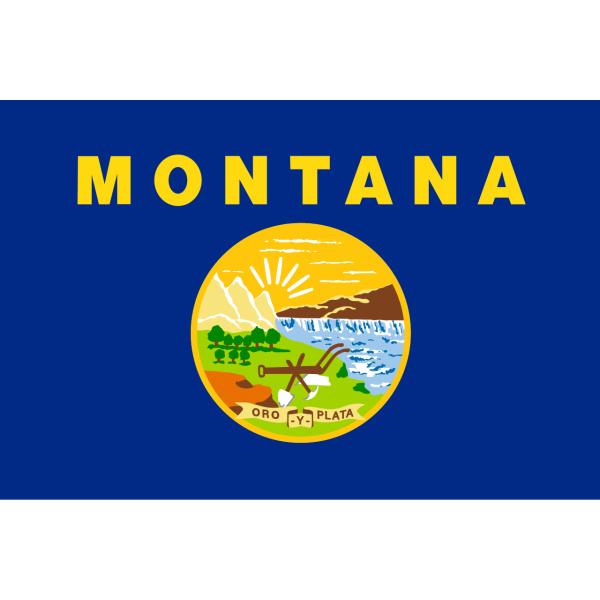 Montana table flag