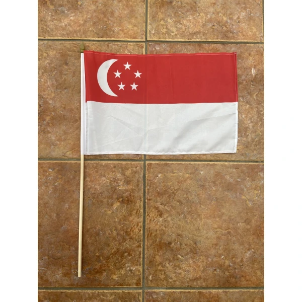 Singapore large hand flag