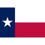 Texas table flag