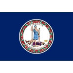 Virginia hand flag