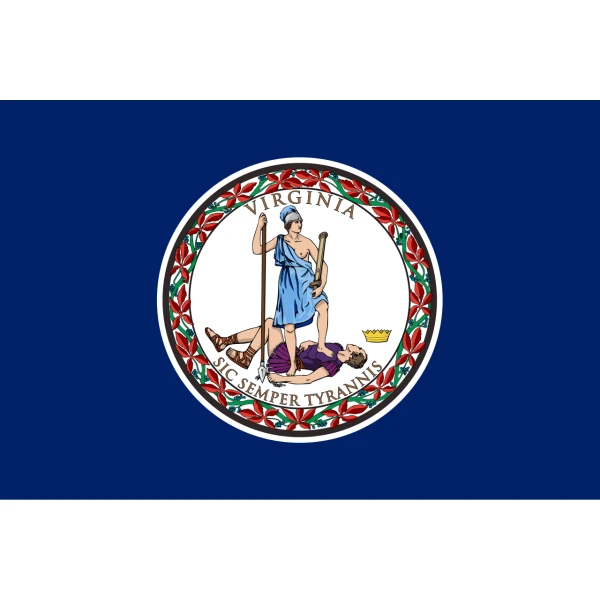 Virginia hand flag