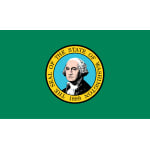 Washington hand flag