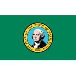 Washington hand flag