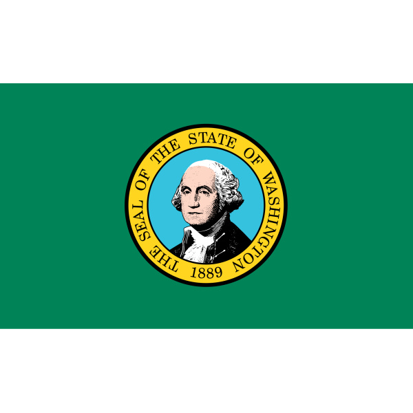 Washington hand flag