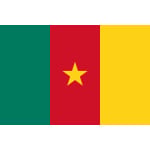 Cameroon medium table flag