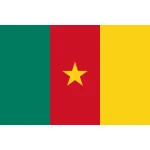 Cameroon medium hand flag