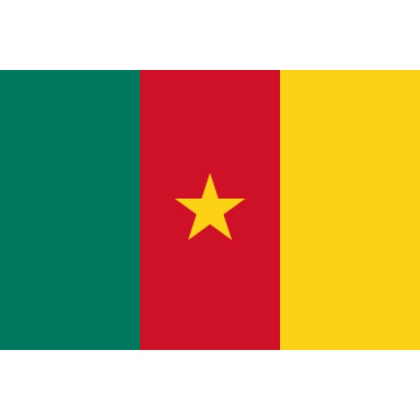 Cameroon 5'x3'
