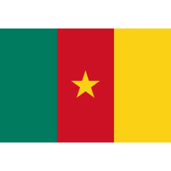 Cameroon 3'x2'