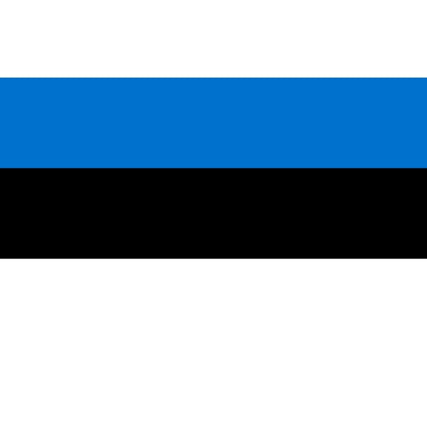 Estonia medium hand flag