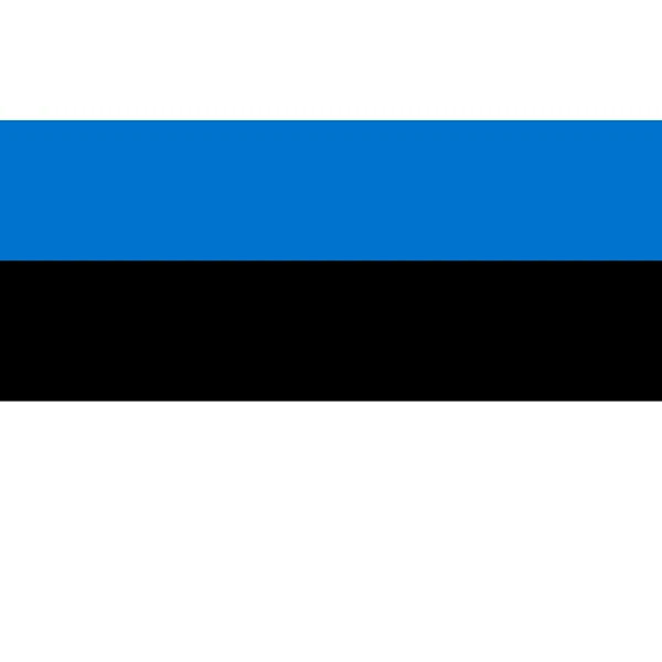 Estonia 5'x3'