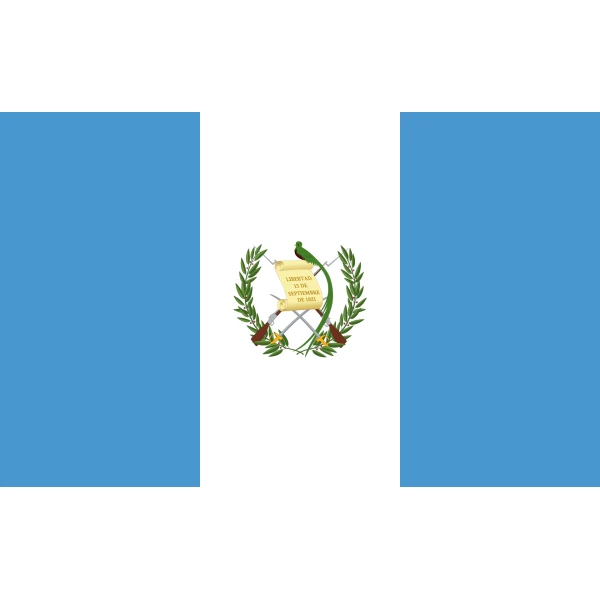 Guatemala medium hand flag