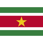 Suriname Table Flag