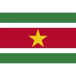 Suriname medium hand flag