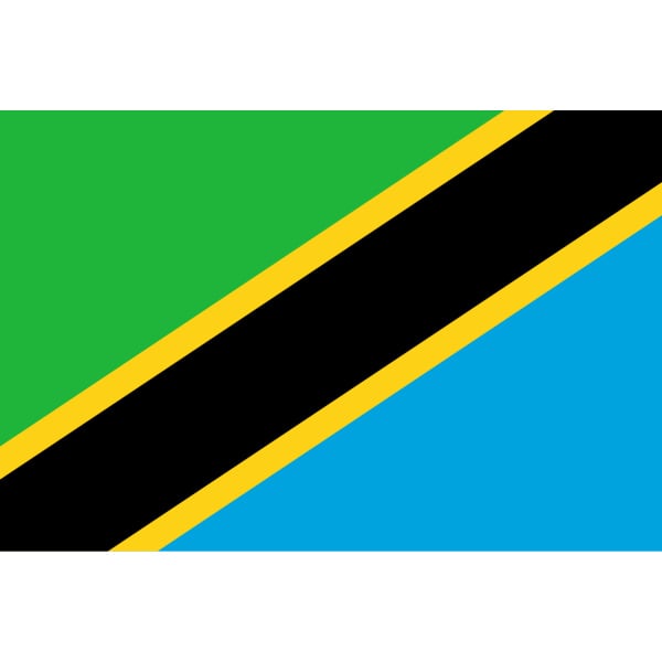 Tanzania medium hand flag