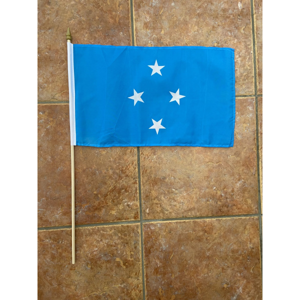 Micronesia large hand flag