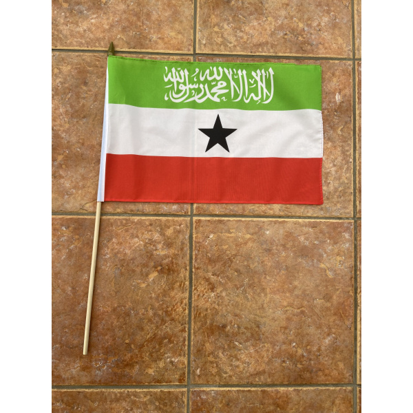 Somaliland large hand flag