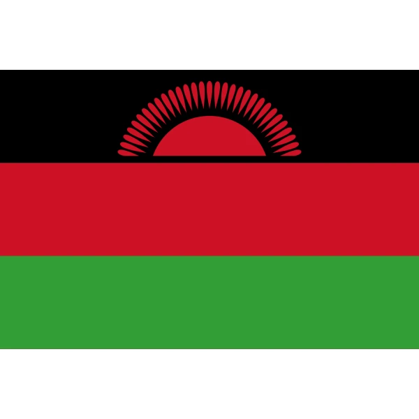 Malawi 1964-2010-2012+ medium hand flag