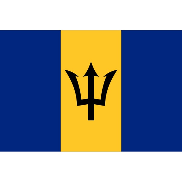 Barbados 5'x3'