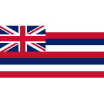 Hawaii 5'x3'