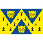 Shropshire medium hand flag