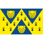 Shropshire medium hand flag