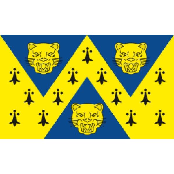 Shropshire medium table flag