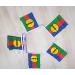 6m 20 flag New Caledonia/Kanak bunting