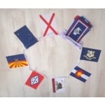 15m 50 flag American States bunting (with revised US states)