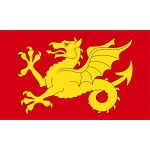 Wessex medium hand flag
