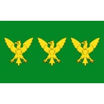 Caernarfonshire medium hand flag