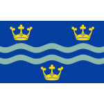 Cambridgeshire hand flag