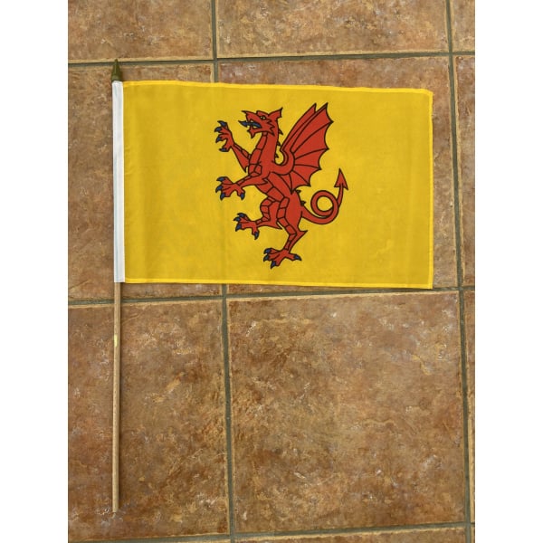 Somerset new large hand flag