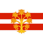 Westmorland medium hand flag