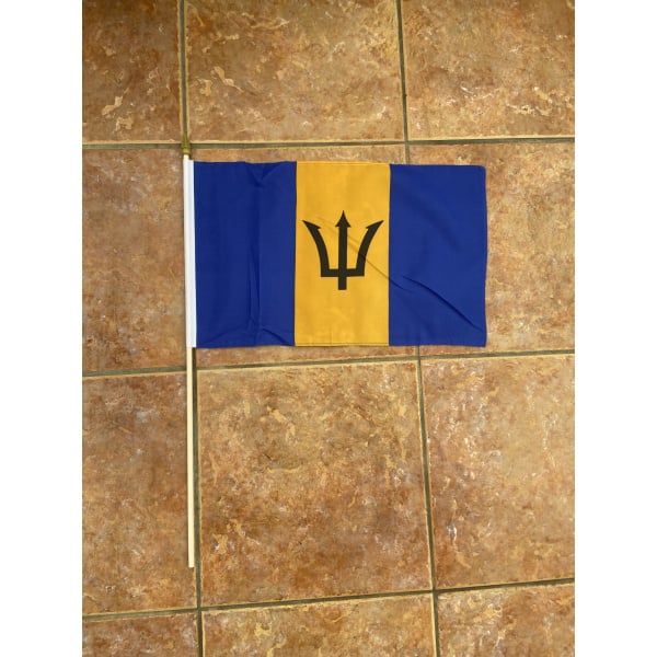 Barbados large hand flag